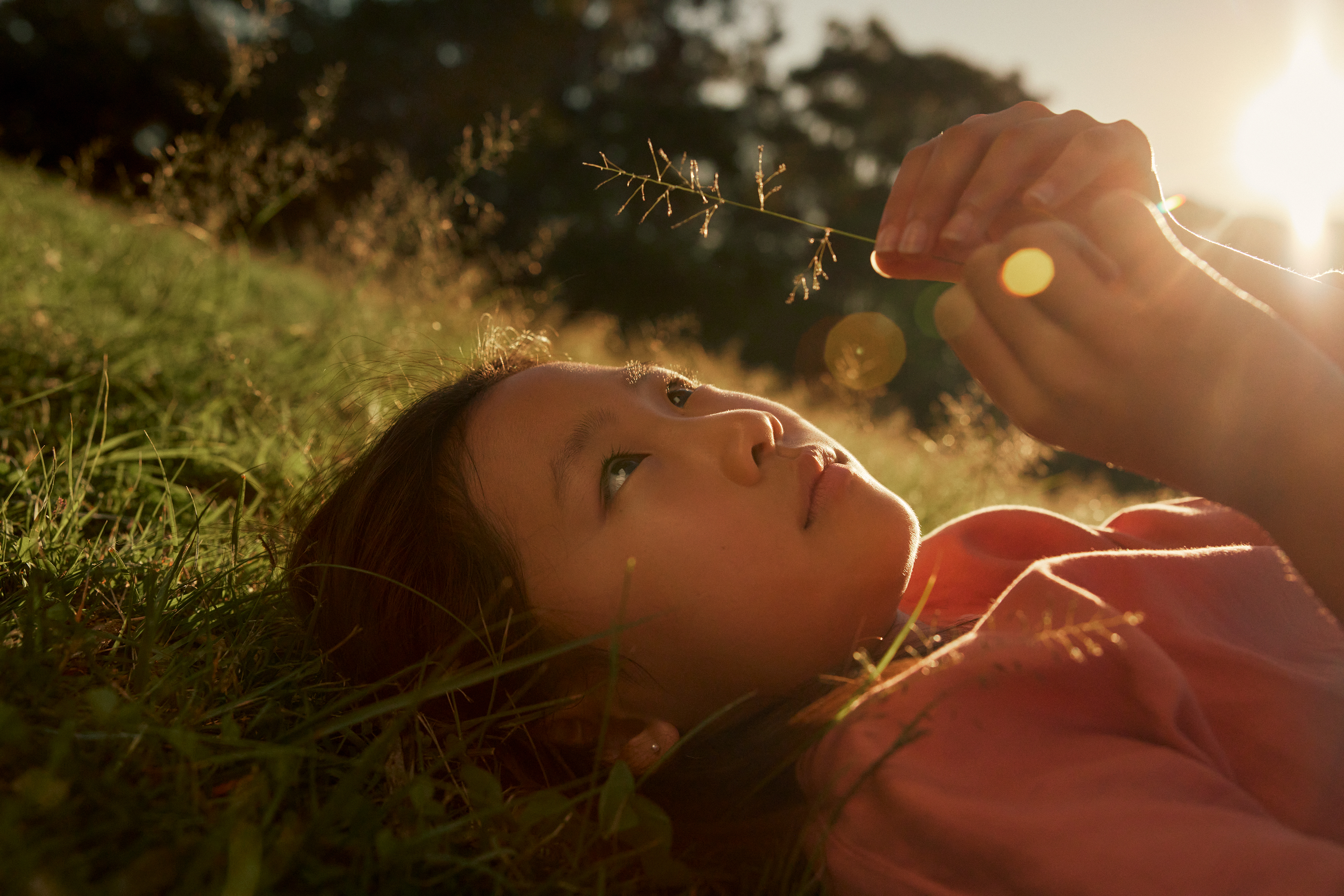 Young child lies in grassy field holding flower, looking up, lit by golden sun.
