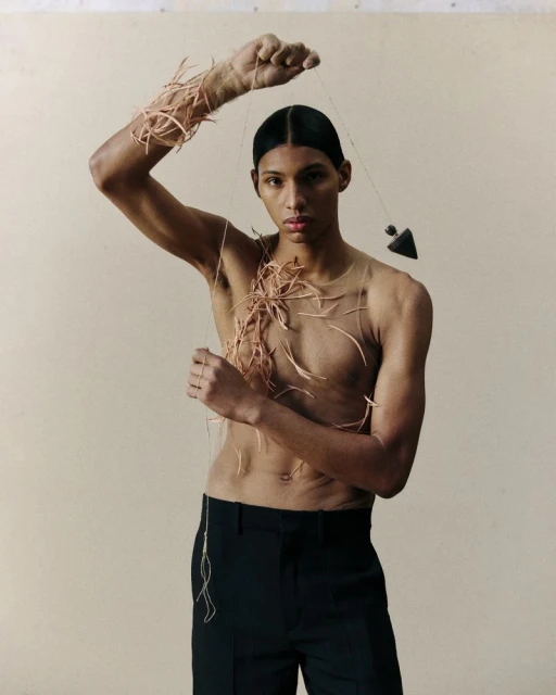 Person with twigs art. Close-up studio shot of a slender adult with bare torso, black pants, and dark hair with twigs as art.