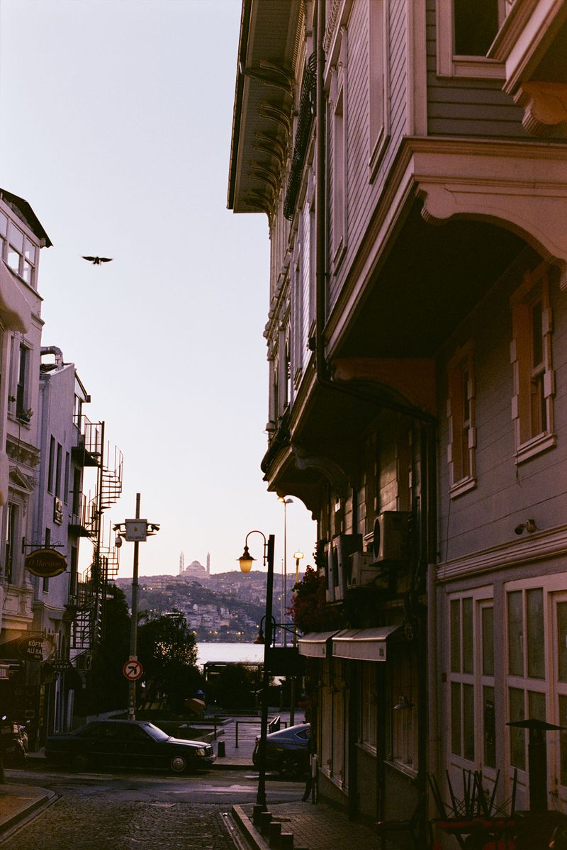 Street view in Istanbul, Turkey, featuring historic buildings, a distant cityscape, and a bird in flight against a pastel sky.