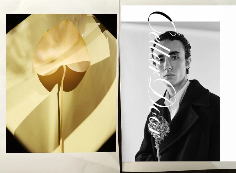 Monochrome fashion editorial featuring a stylish man in a coat next to a yellow botanical image with shadows, creating a contrasting aesthetic.
