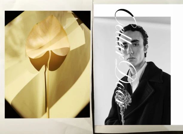Monochrome fashion editorial featuring a stylish man in a coat next to a yellow botanical image with shadows, creating a contrasting aesthetic.