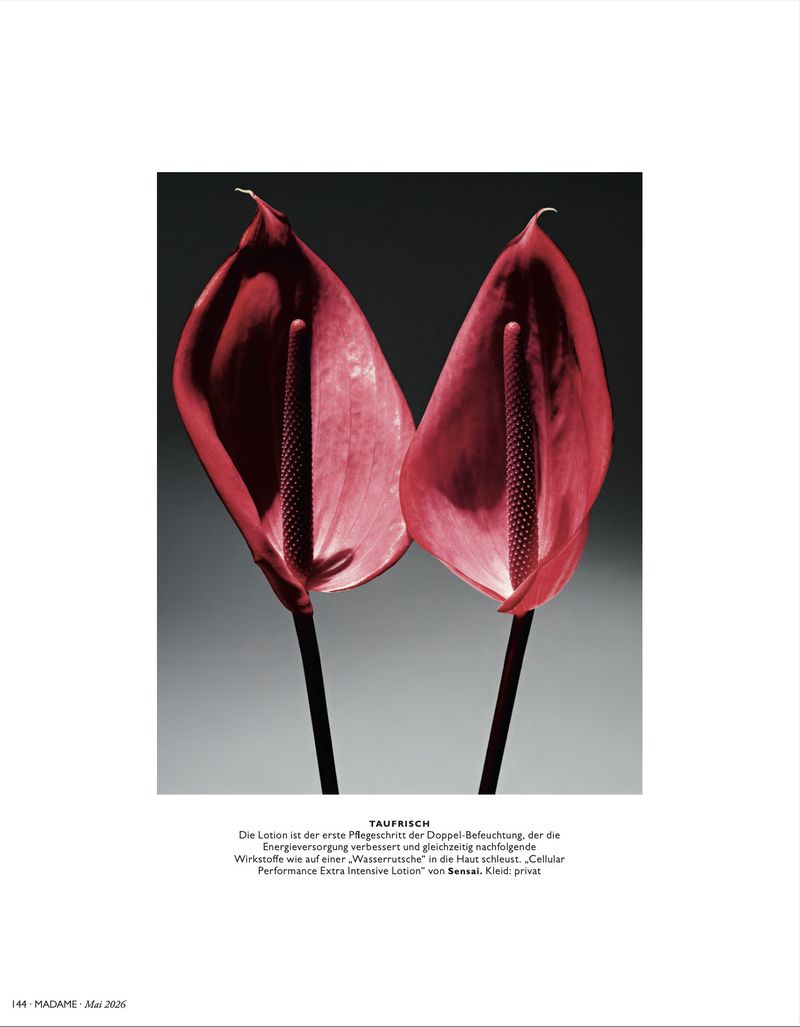 Close-up of two anthurium flowers with pink petals and black stems, set against a grey background, with visible text at the bottom.