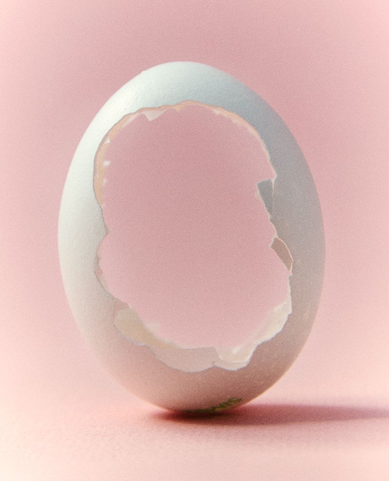 Close-up of a cracked white eggshell against a soft pink background, highlighting the delicate texture and minimalist composition.