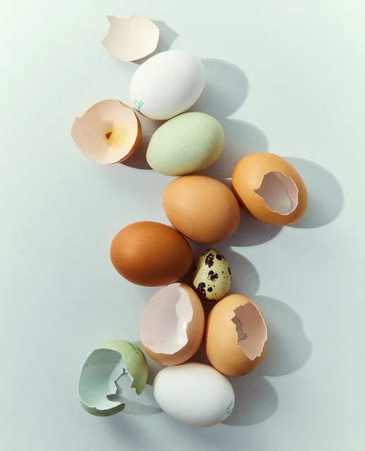 Eggs Issue