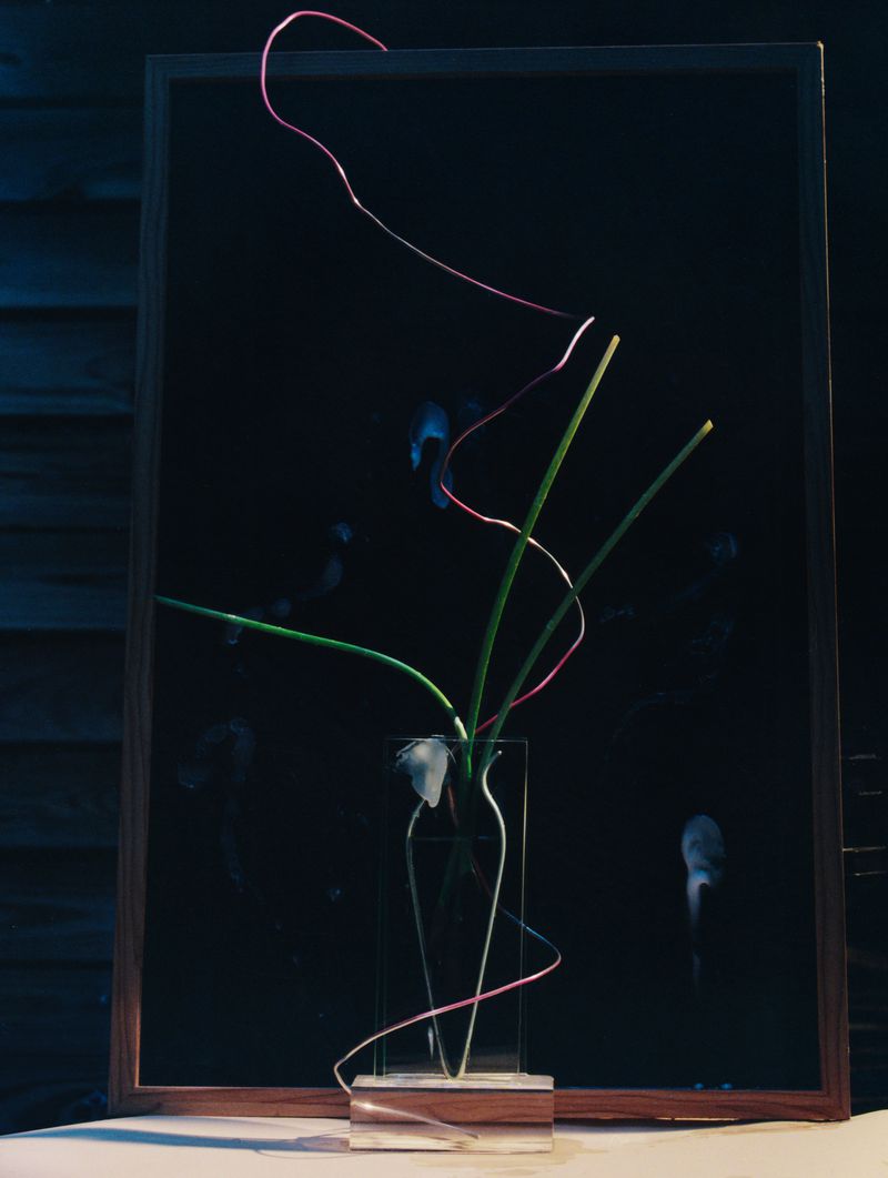 Still life of a transparent vase holding green stalks, a white feather, and pink wire against a dark background framed in brown wood.