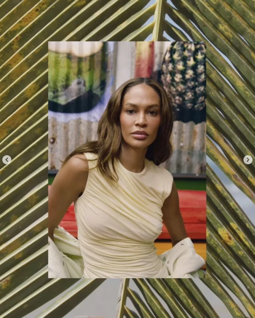 AGOLDE Spring 26. Worn by Joan Smalls