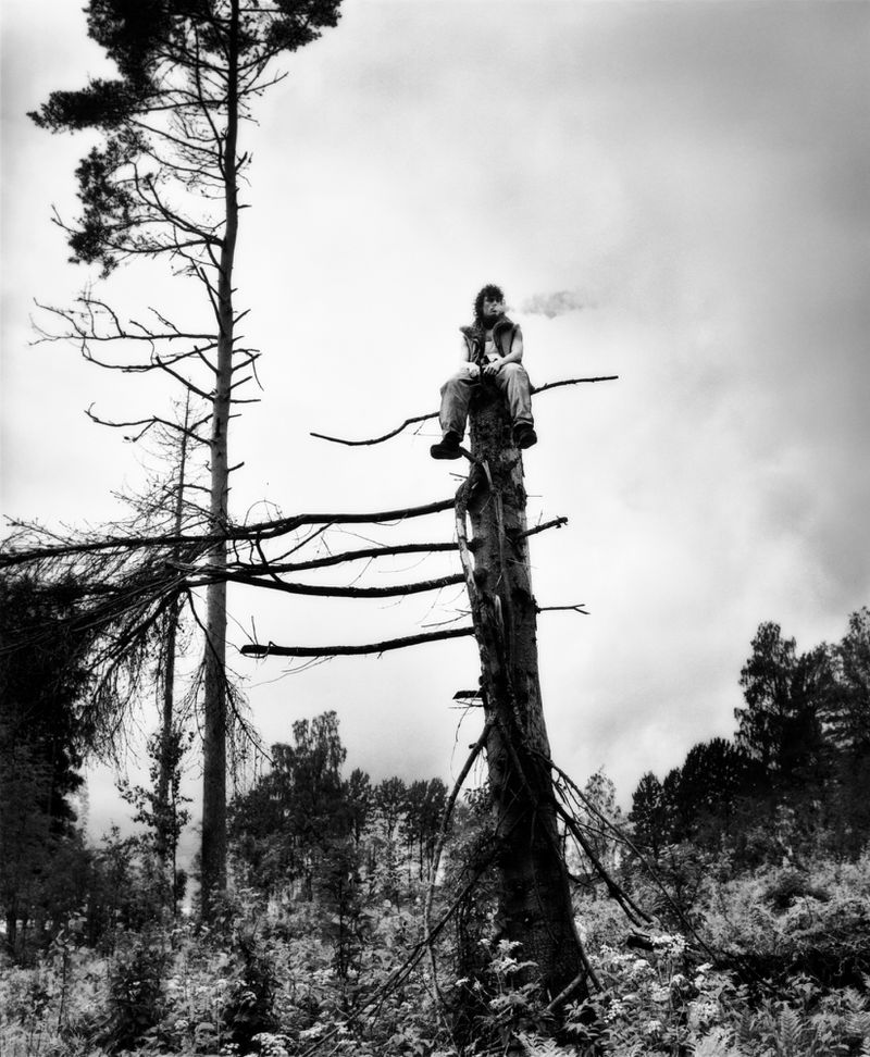 Black and white photograph of a man sitting high atop a dead tree in a forest clearing, with tall trees and a cloudy sky in the background.