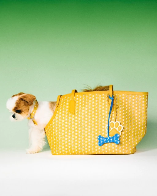 Moynat M Collection - Pet Campaign