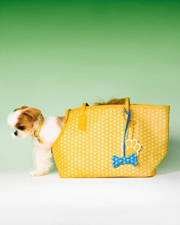 Tan and white Shih Tzu puppy peeks out from a yellow woven tote bag with blue bone and paw print charms against a green background.