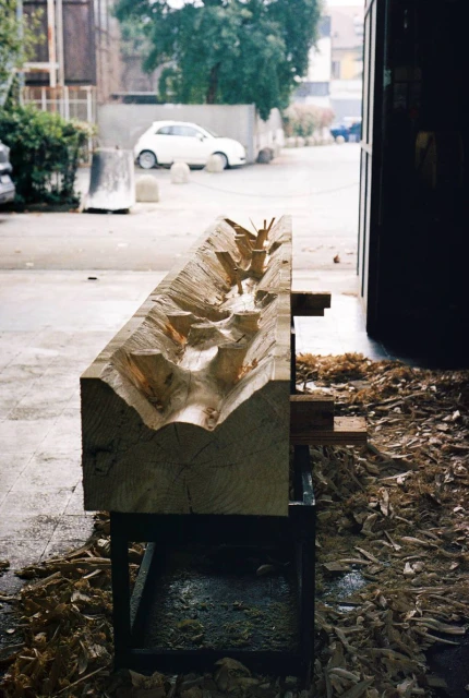In Giuseppe Penone’s Sculptures, Hum ...
