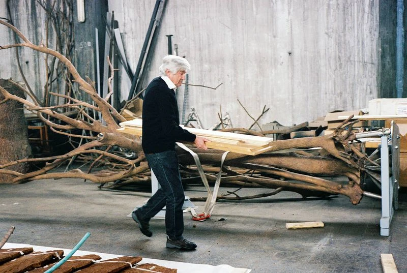 Elderly man carrying lumber inside an industrial building with natural light, surrounded by tree branches and wood materials. 