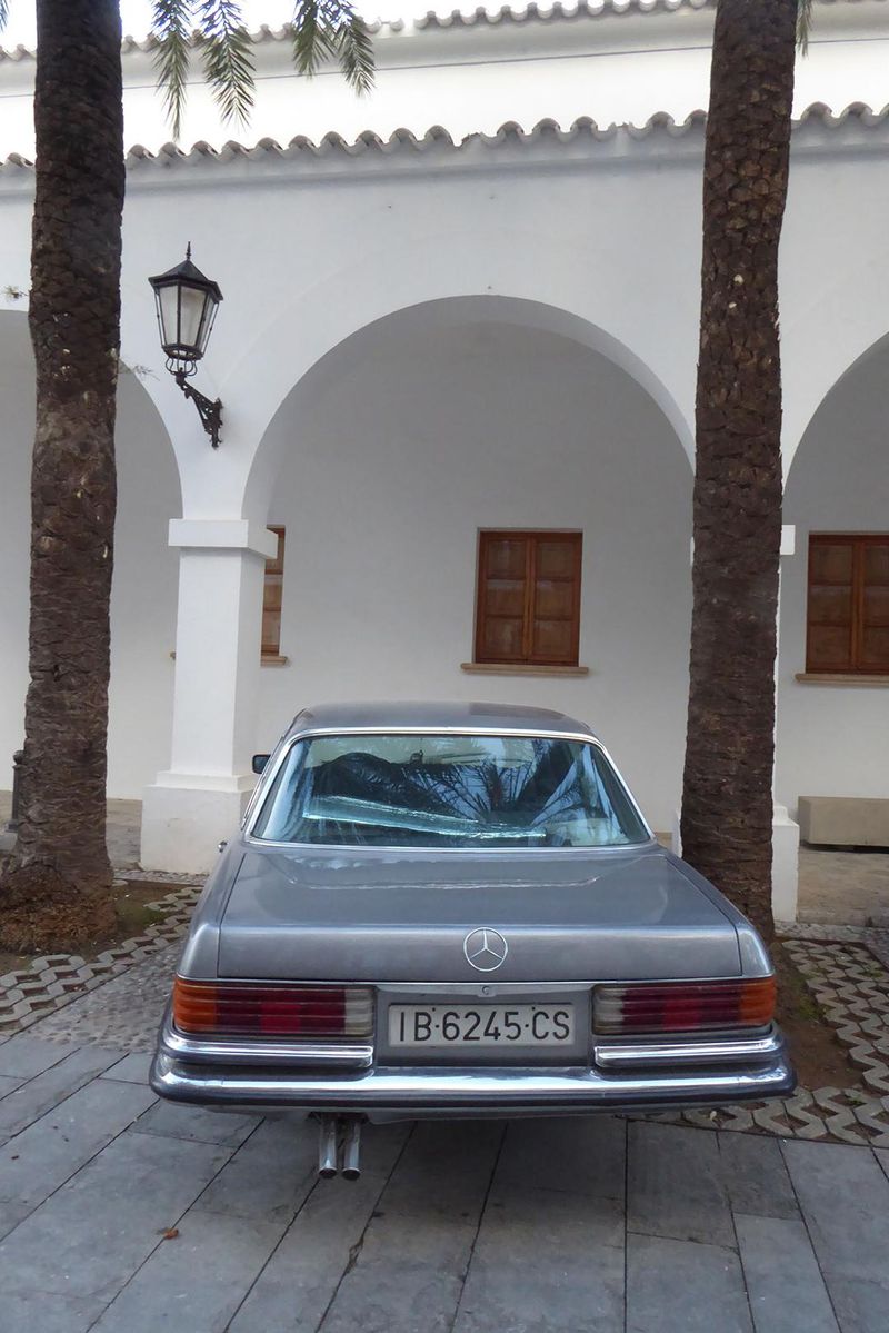 Rear view of a grey Mercedes-Benz car parked outdoors between two palm trees with a white building and arches in the background.