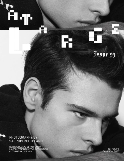 At Large Magazine Issue 25 Cover