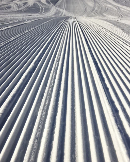 Soleil Neige