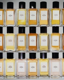 Grid arrangement of rectangular Celine perfume bottles with black caps and amber-toned fragrances against a neutral studio backdrop.