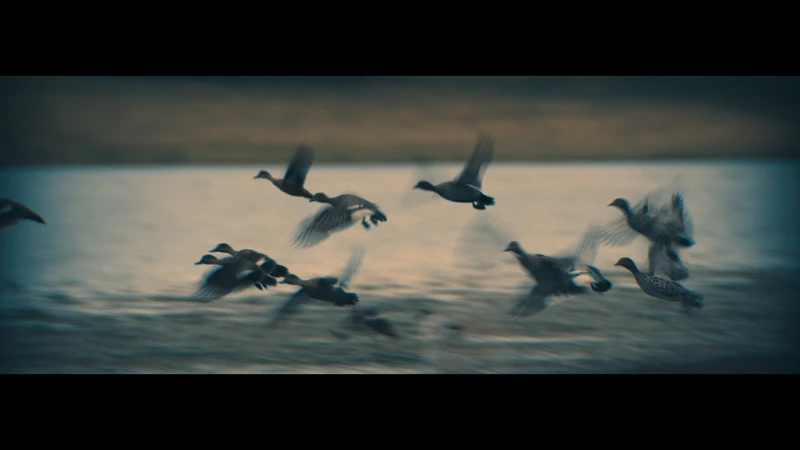 A flock of ducks in flight across water, blurred motion suggests speed and wildlife in their natural habitat, capturing a dynamic moment.