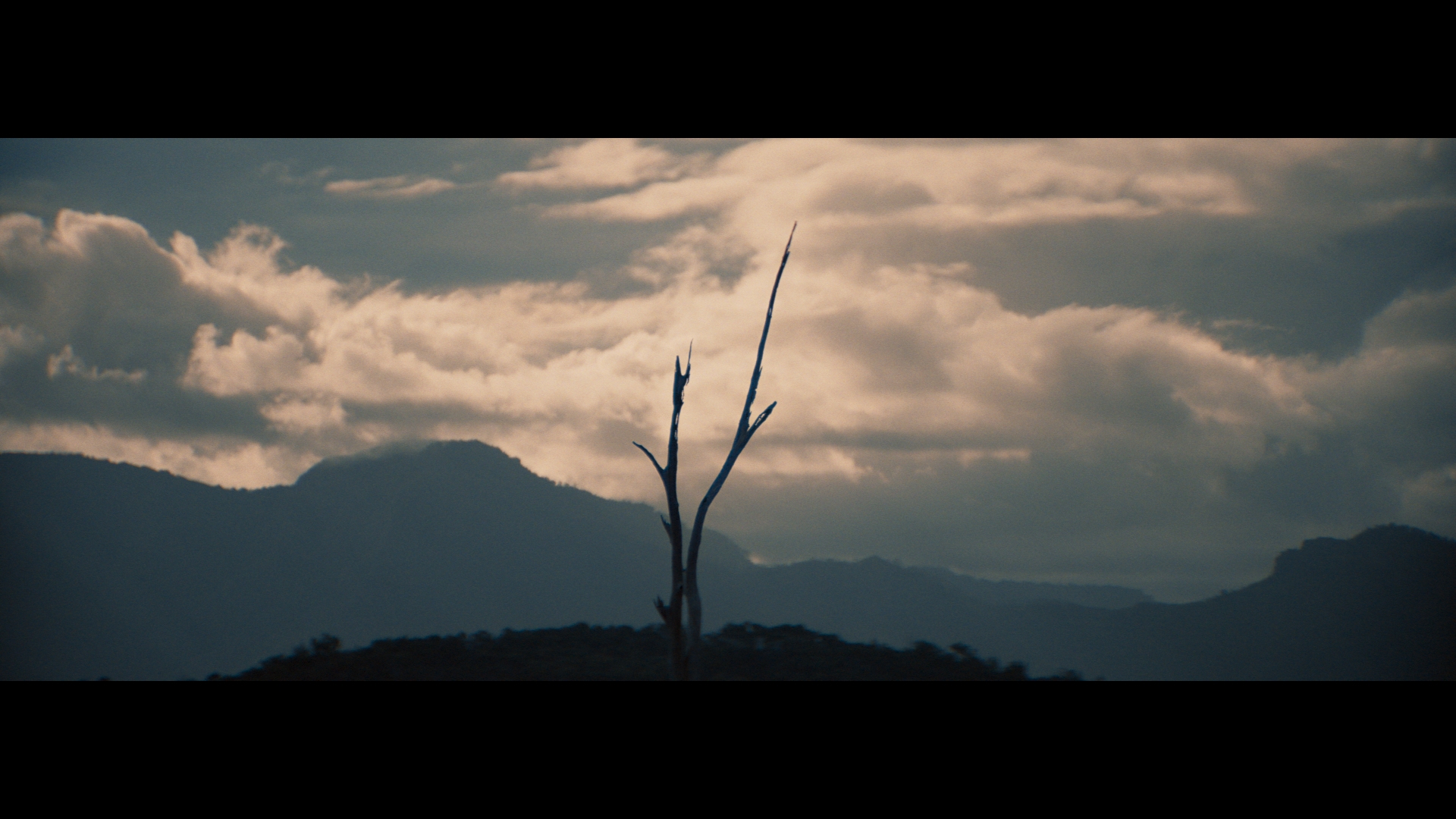 A silhouette of a leafless tree stands against a backdrop of mountains and a cloudy sky, creating a serene and somewhat somber landscape.