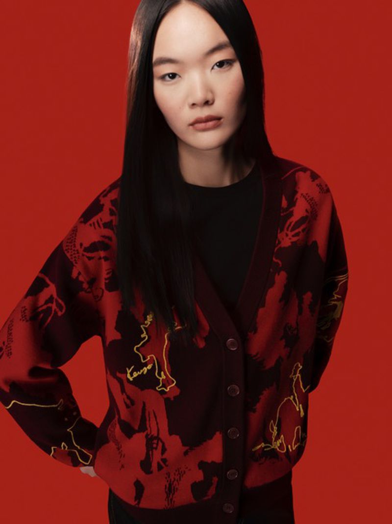 Asian woman with long dark hair poses in a studio against a red backdrop wearing a black and red printed cardigan sweater.