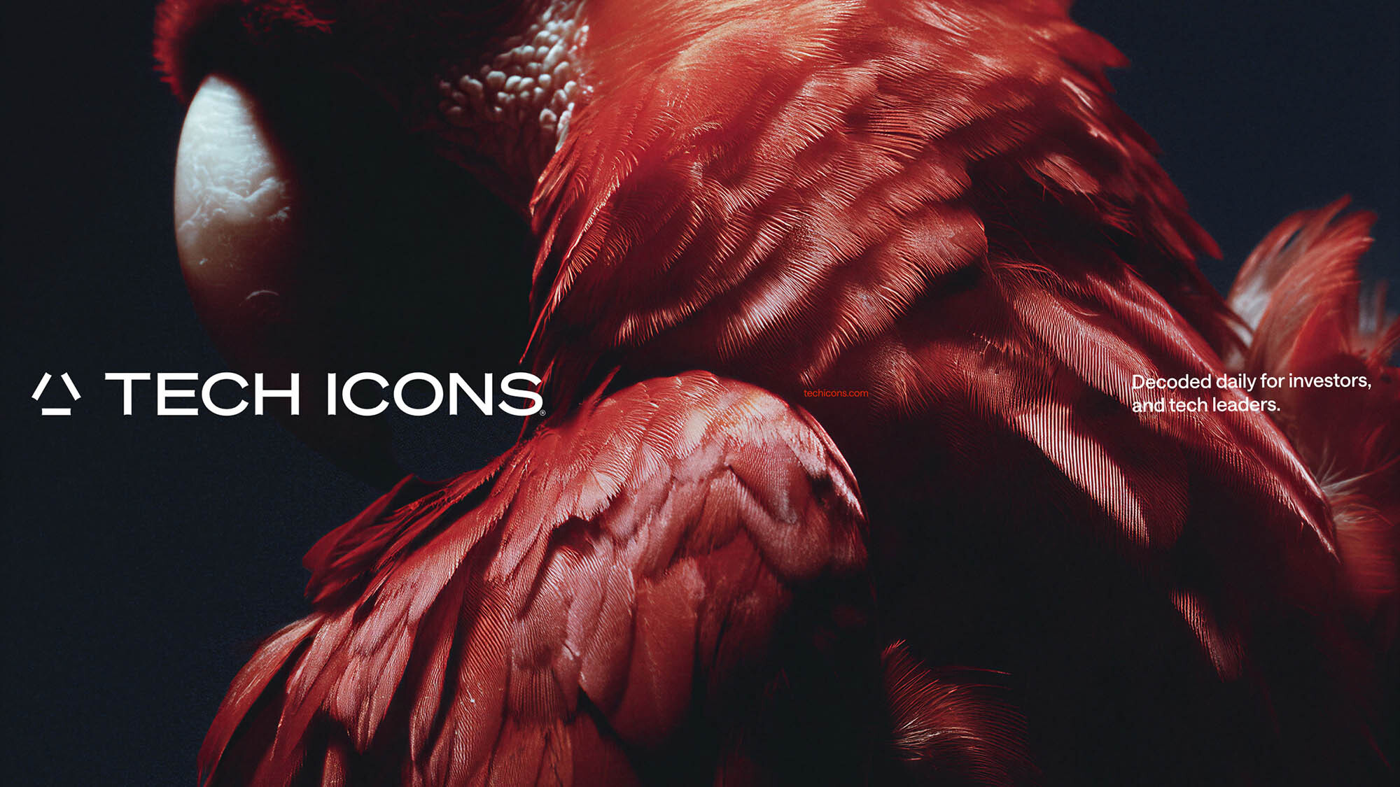 Detailed close-up of vivid red macaw feathers with dramatic lighting and white Tech Icons typography against a dark ground.