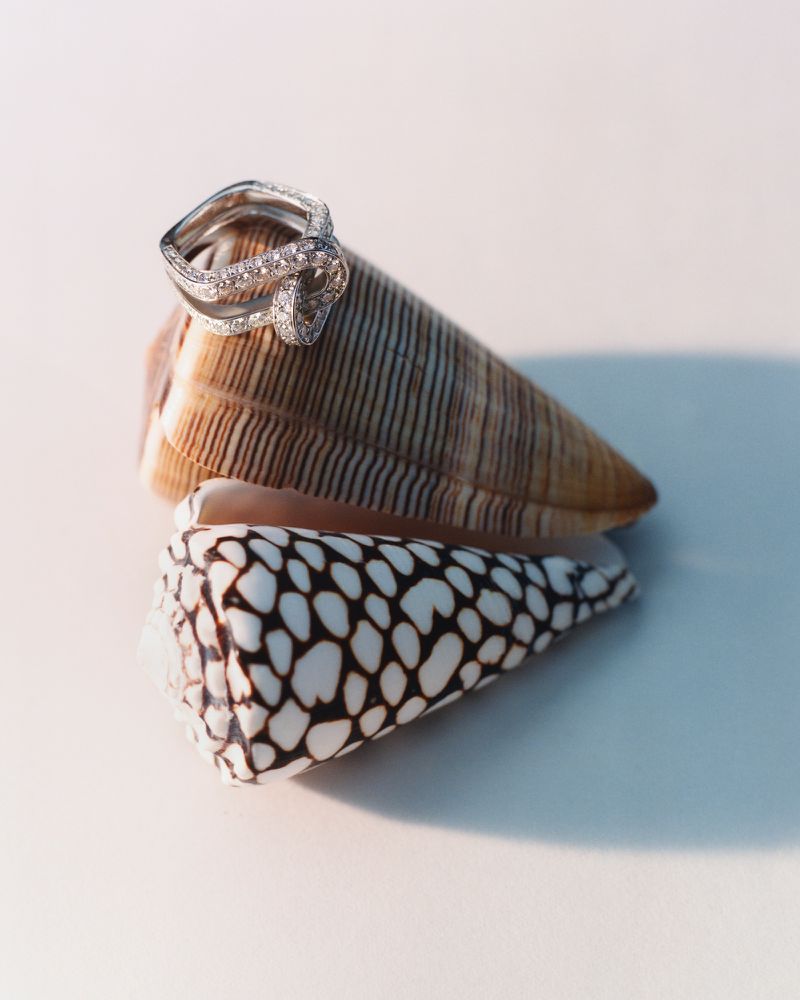 Diamond pavé ring resting on two patterned cone seashells over a neutral surface.