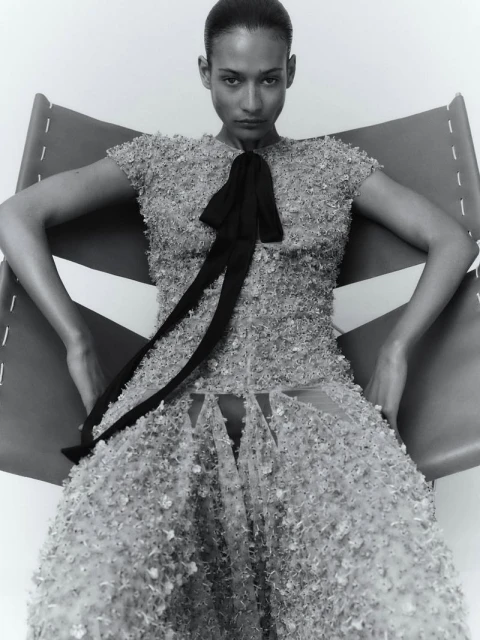 Dior ss26
