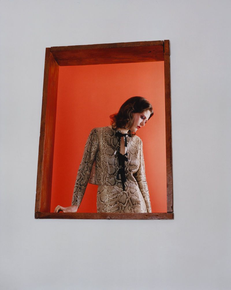Model wearing a snakeskin print jacket and skirt posing inside a wooden frame against a vibrant orange backdrop.