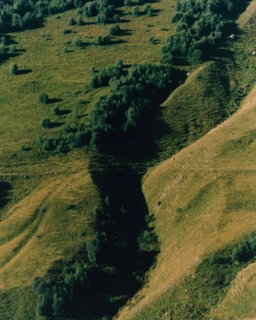 High-angle view of grassy green mountain slopes with a deep shadowed ravine and dense cluster of trees.