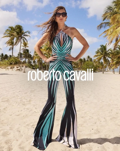 Ray of Sea Collection