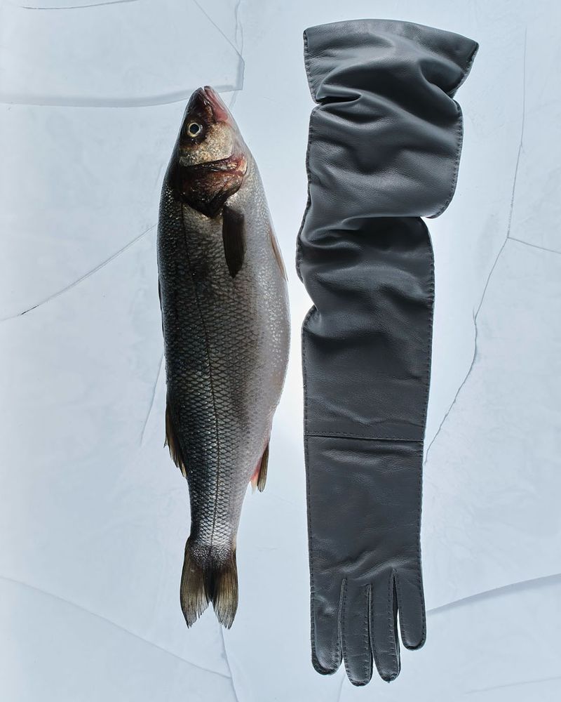 A whole raw fish placed vertically next to a long slouchy grey leather glove on a pale cracked ice surface.