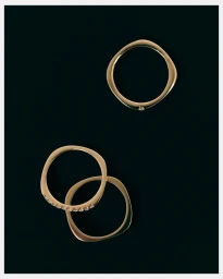 Three organic-shaped gold rings displayed against a dark background for the Prunés Campaign 2025.