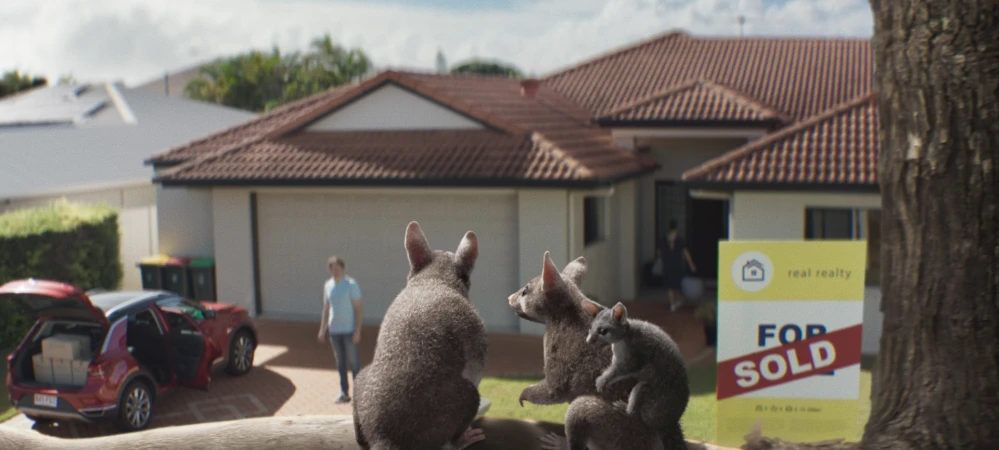 Family of possums sit on a tree branch in front of a house with a red car and a sold sign, next to a man walking on the driveway.