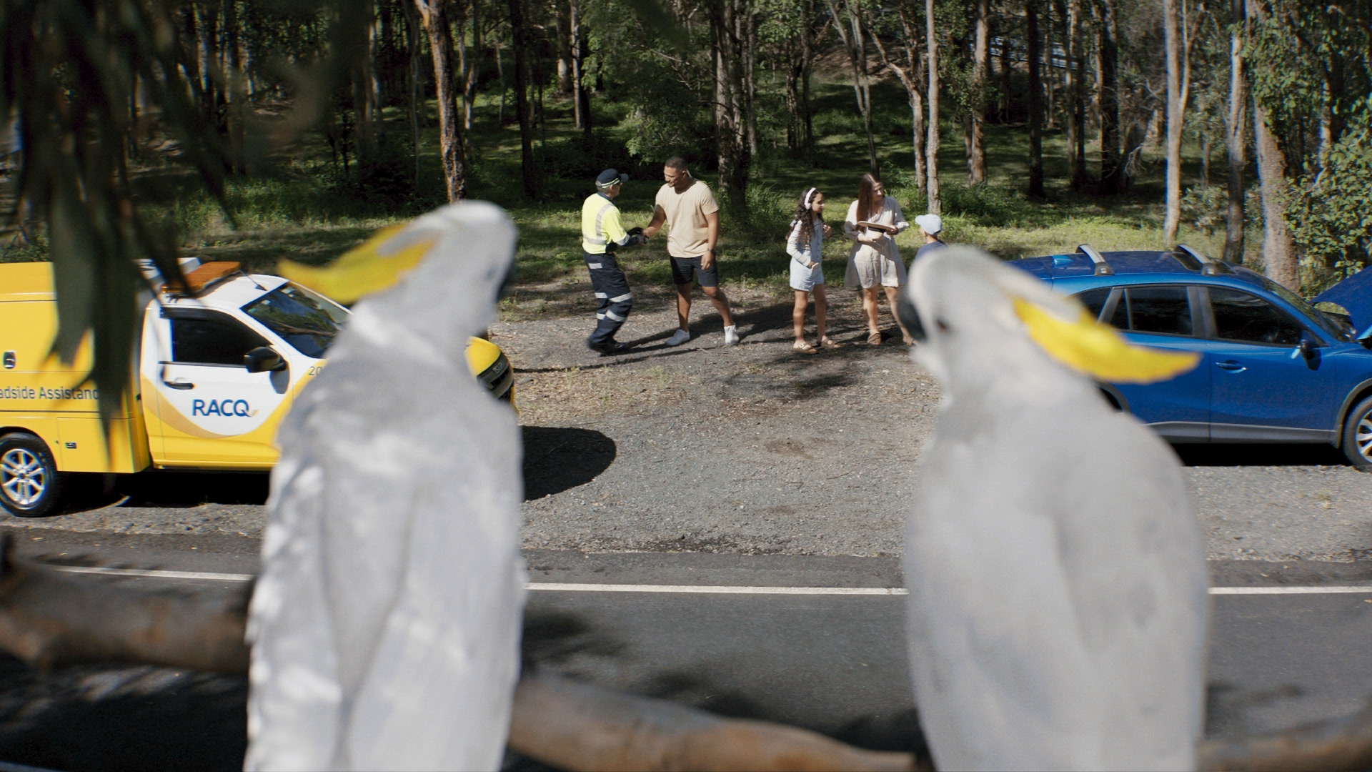 A family stands by their blue car getting roadside assistance from a tow truck driver in a wooded area, with two Sulphur-crested cockatoos in the foreground.