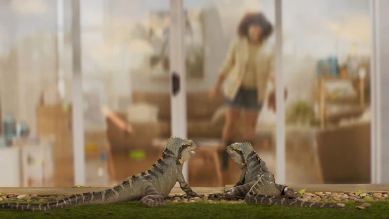 Two water dragons resting on grass near a home with a woman visible through glass doors. Focus on foreground, soft background.