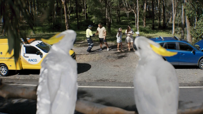 Two white cockatoos perched in the foreground with a roadside assist vehicle, broken-down car, and family conversing in the background.