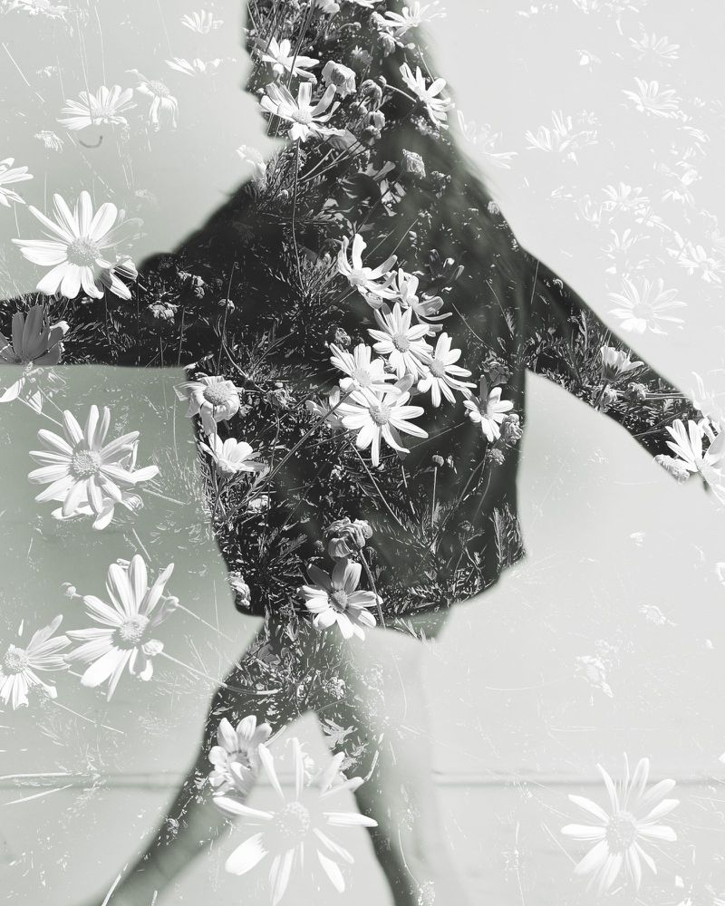 Black and white double exposure photograph of Sadie Sink walking with outstretched arms layered over blooming daisy flowers.