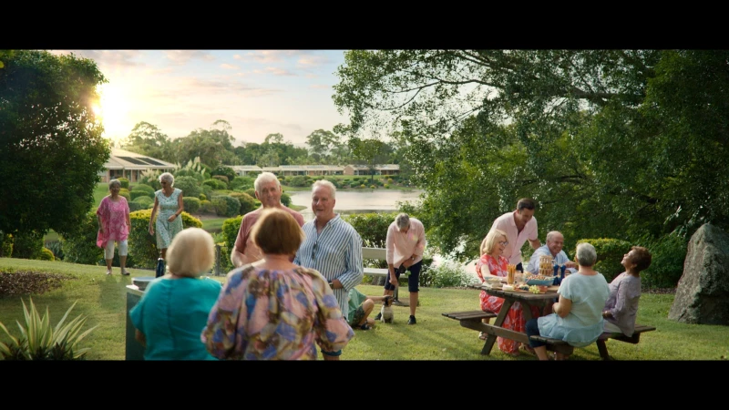 Outdoor social gathering of senior adults on a sunny day, sitting and standing on a green lawn with trees and a lake in the background.