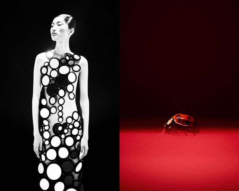 Fashion shot featuring a woman wearing a dress with black and white circular discs against a black background, and a ladybug.