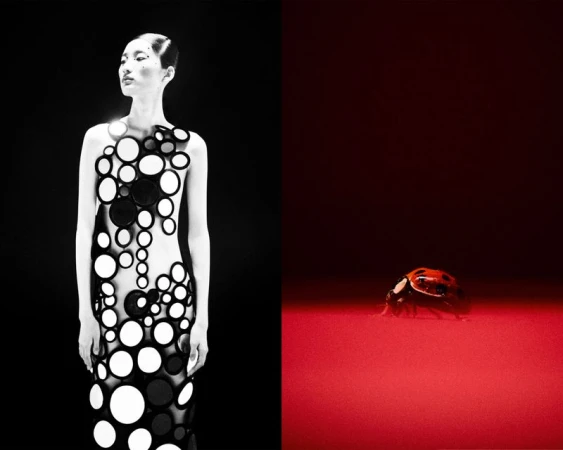 Fashion shot featuring a woman wearing a dress with black and white circular discs against a black background, and a ladybug.