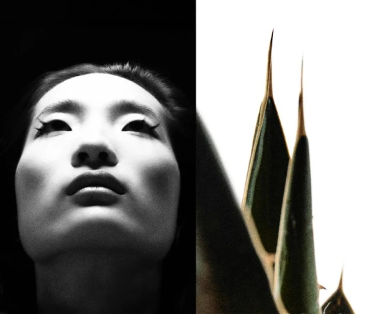 Monochrome close-up shot of an Asian woman with long eyelashes facing up, juxtaposed with a green agave plant against a white backdrop.