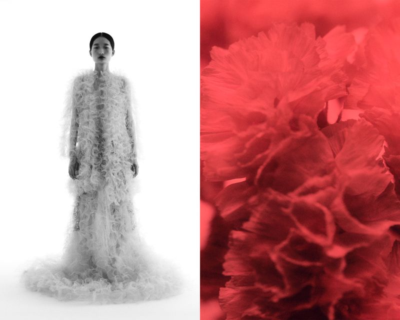 Monochromatic fashion shot of a woman in a ruffled dress and a blurred floral close-up on a stark white background, artistic composition.