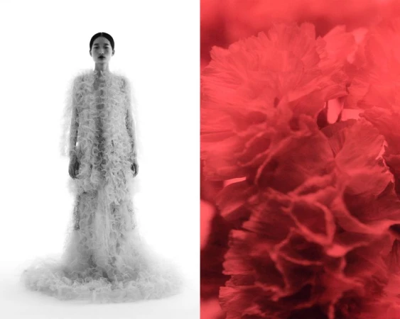 Monochromatic fashion shot of a woman in a ruffled dress and a blurred floral close-up on a stark white background, artistic composition.