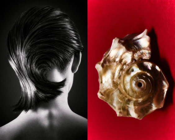 Monochrome studio shot of a woman’s stylized short hair next to a spiral seashell against a red background.