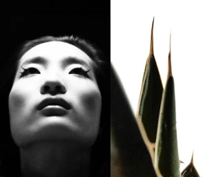 Close-up portrait of an Asian woman looking upwards beside sharp plant leaves in high contrast.