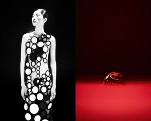Model in a black and white circular patterned dress standing next to a ladybug on a red surface