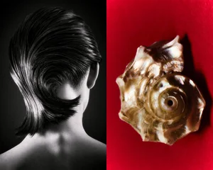 Split view showing a person from behind with sleek styled dark hair on the left and a textured nautilus shell on a red background on the right.