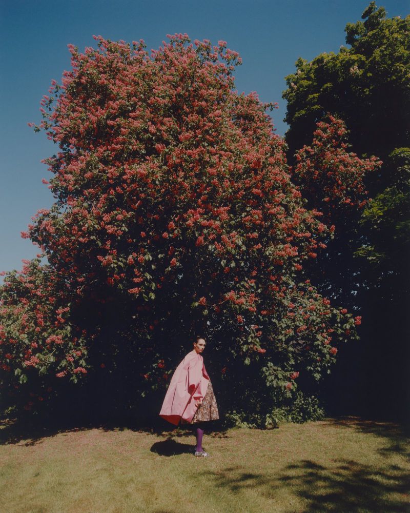 Person in pink coat stands beneath flowering tree in outdoor setting, green grass, blue sky, and natural light creating soft shadows.