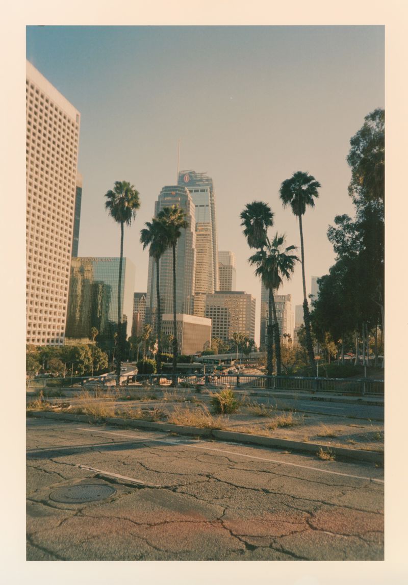 An analogue polaroid frame showing a city skyline with palm trees, modern skyscrapers, and an empty paved street in the foreground.