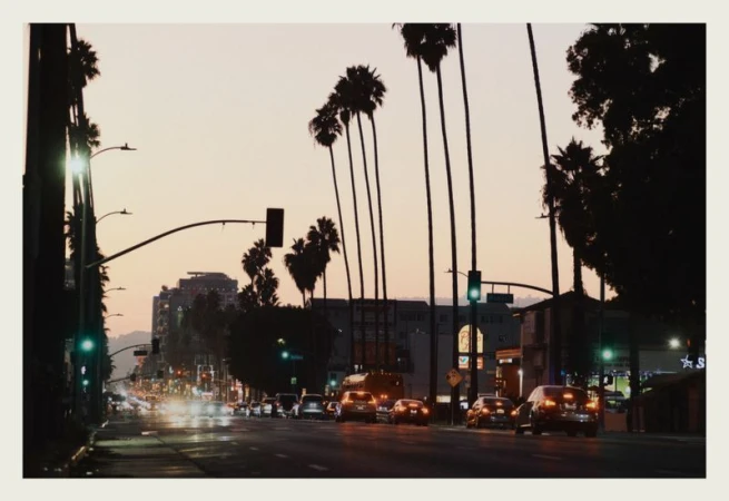 Urban street scene at dusk with tall palm trees lining a wet multi-lane road under a glowing sunset sky.
