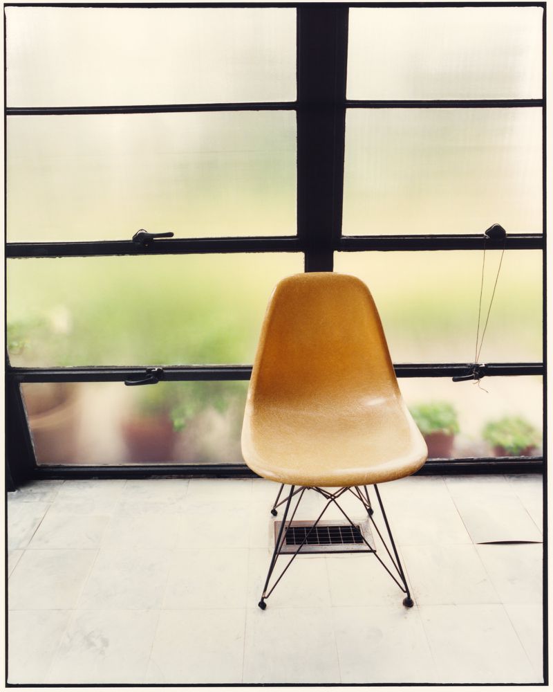Yellow fiberglass Eames shell chair with wire base positioned in front of a gridded window.