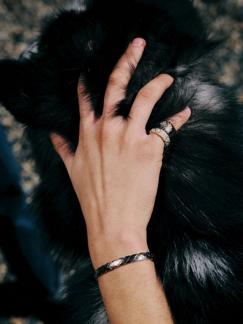 Close-up of a hand wearing diamond rings and a braided bracelet petting a fluffy black animal for ODDA Magazine